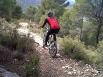 IMG-20120303-00356.jpg
