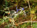 DSC09038_640x480.jpg