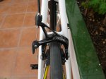 P1010411 (Copiar).JPG