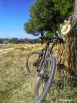 orbea4.jpg