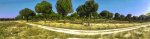 panormicaorbea.jpg