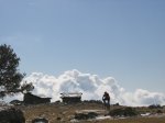IMG_2237.JPG
