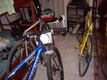 IMGP07271.JPG