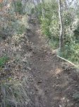 la-forestal-grande.jpg