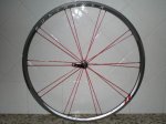 bontrager d-5.JPG