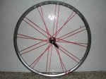 bontrager t-3.JPG