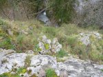 P1080917_800x600.jpg