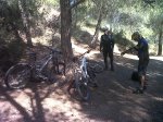 IMG00173-20120304-1157.jpg