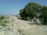 lapi03032012.jpg