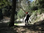 falsollano 383.jpg