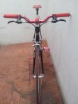 20120306_121015_01.JPG