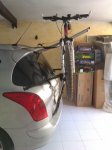 IMAG0065.jpg
