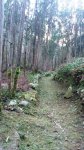 DSC_0396.JPG