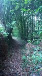 DSC_0390.JPG