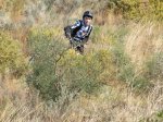 IMG_2759 (Copiar).JPG
