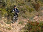 IMG_2765 (Copiar).JPG