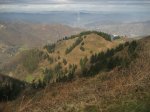IMG_2936.JPG