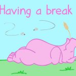 descanso.jpg