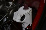 _DSC0710_1000x667.jpg