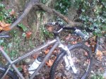 2011-11-16 15.55.03.jpg