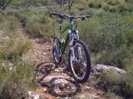 IMG-20120308-00182.jpg