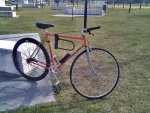 a_C360_2012-03-08-15-18-27.jpg