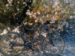 camerazoom2012030617383.jpg