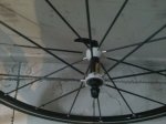IMG-20120308-WA0002.jpg