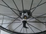 IMG-20120308-WA0003.jpg