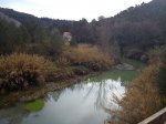 DSC00389.jpg
