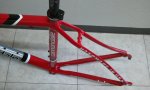 2012-03-09 12.33.52.jpg