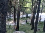 02032012060'.jpg