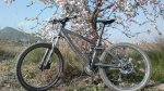 28022012135 - copia.jpg