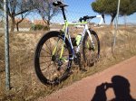 CANNONDALE EVO 004.jpg