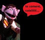 Muppets_Celebrities_2.jpg