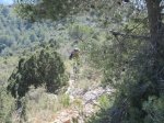 IMG_2798 (Copiar).JPG