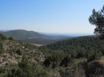 IMG_2799 (Copiar).JPG