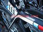 Trek-Madone-2013.JPG