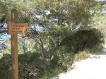 Esporlas-Port d'Es Canonge-CamÃ­ d'Es Correu 011.JPG