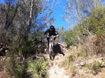 IMG-20120310-WA0003.jpg