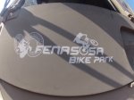 logofenasosa.JPG