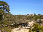 DSCN4017-2.JPG