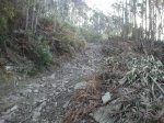 20120310093133.jpg