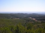 P1017266.JPG