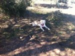 IMG_1274.JPG