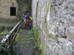 IMG_2310 copia.jpg