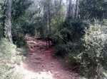 11032012750.jpg
