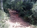 11032012754.jpg