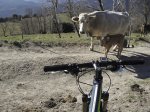 2012-03-11 RUTA RUPIT-13209.jpg