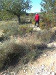 Imagen0901.jpg
